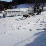 Mit Pool Haus Enere Au Im Sued-schwarzwald Apartman Todtmoos