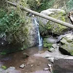Mit Pool Haus Enere Au Im Sued-schwarzwald Todtmoos