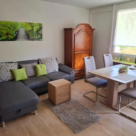 Mit Pool Haus Enere Au Im Sued-schwarzwald Apartman