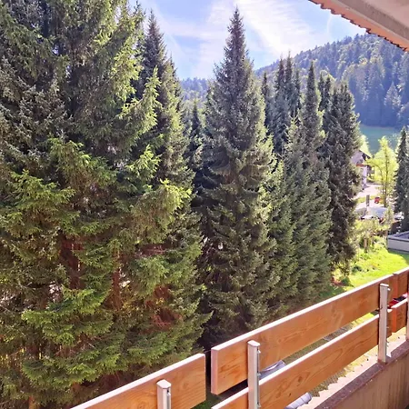 Appartement Mit Pool Haus Enere Au Im Sued-schwarzwald Todtmoos