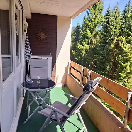 Appartement Mit Pool Haus Enere Au Im Sued-schwarzwald