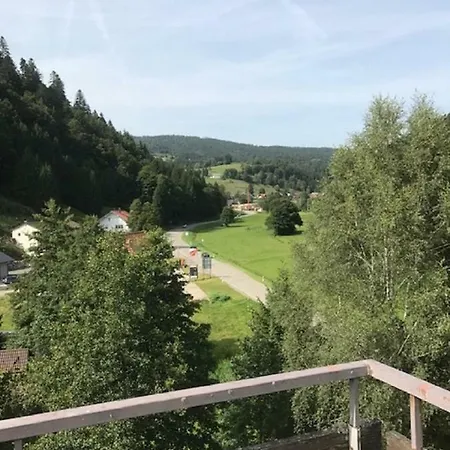 Mit Pool Haus Enere Au Apartment Todtmoos