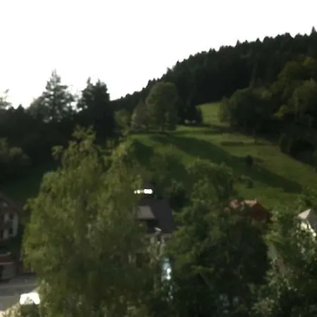 Mit Pool Haus Enere Au Im Sued-schwarzwald * تودموس