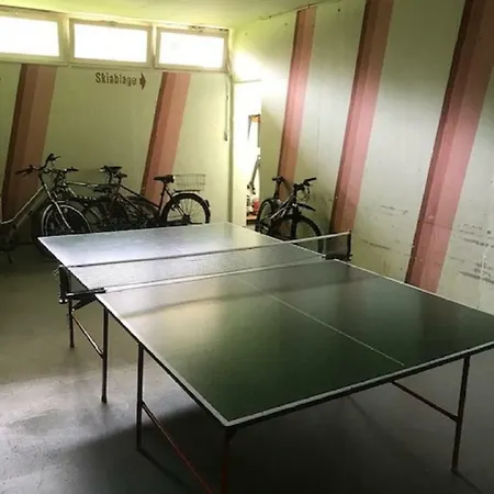 Apartment Mit Pool Haus Enere Au Todtmoos