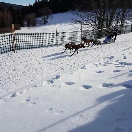 Mit Pool Haus Enere Au Apartamento Todtmoos