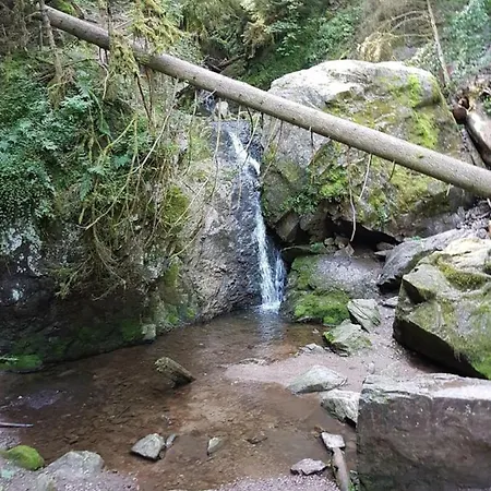 Mit Pool Haus Enere Au Todtmoos