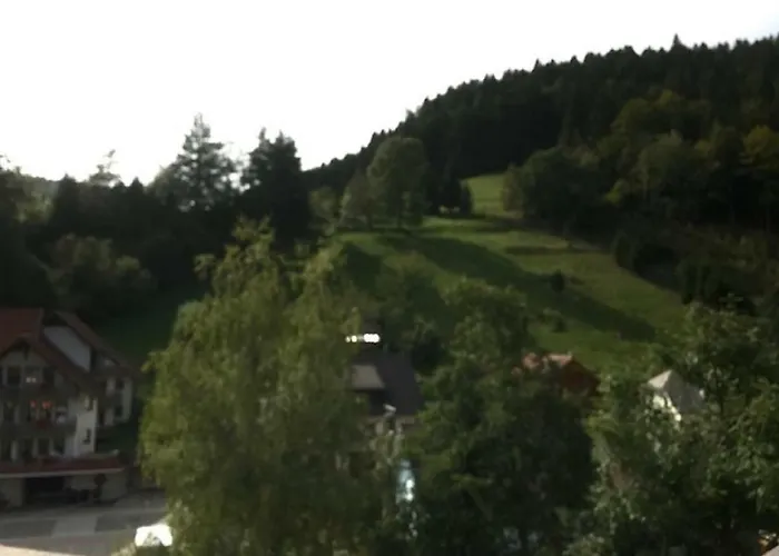 Schmitt Haus Enere Au * Todtmoos