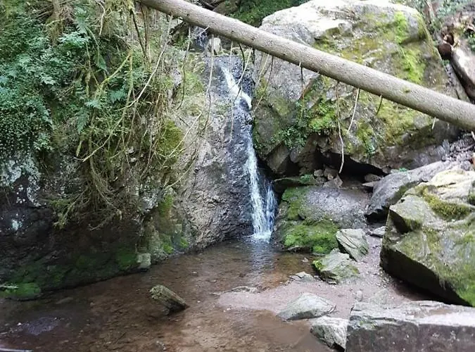 Schmitt Haus Enere Au Todtmoos